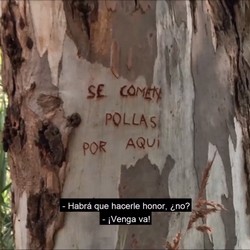 Mónica se lleva a un chico al 'arbol de comer pollas'. !Hora de comer!